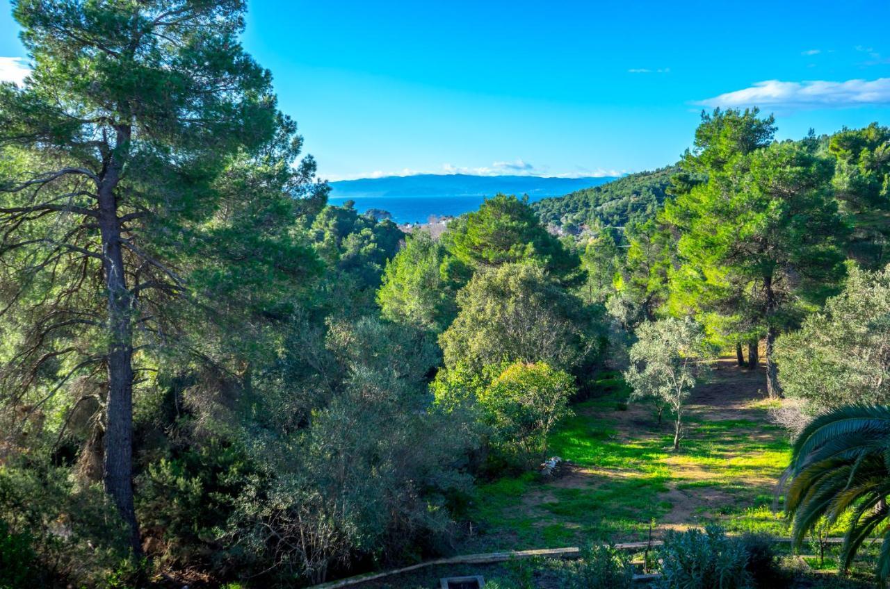 Forest Resort Suites Skiathos 트롤로스 외부 사진