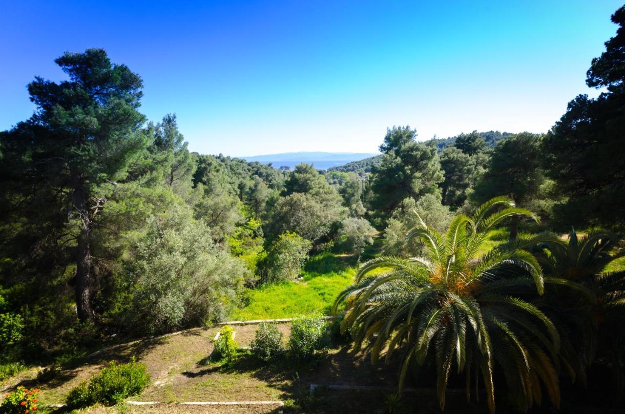 Forest Resort Suites Skiathos 트롤로스 외부 사진