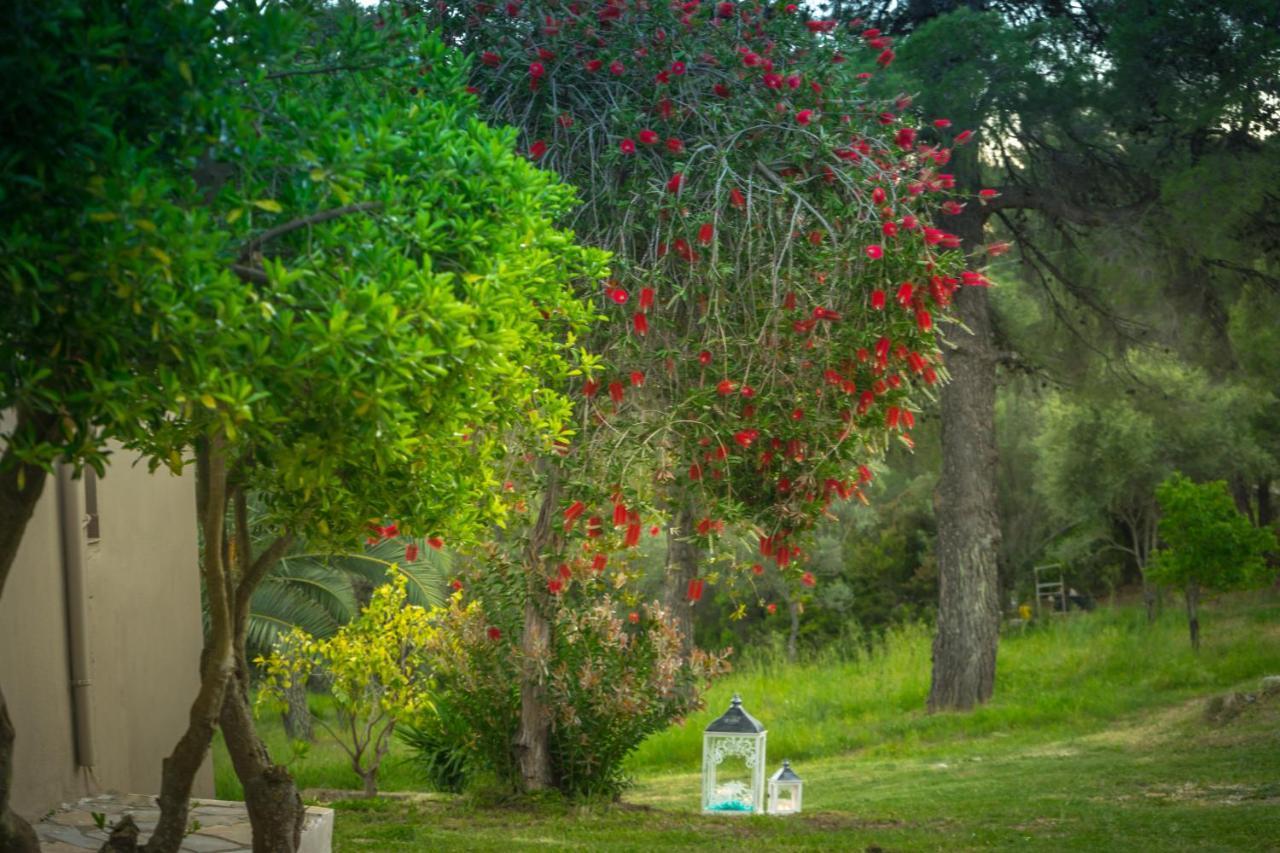 Forest Resort Suites Skiathos 트롤로스 외부 사진