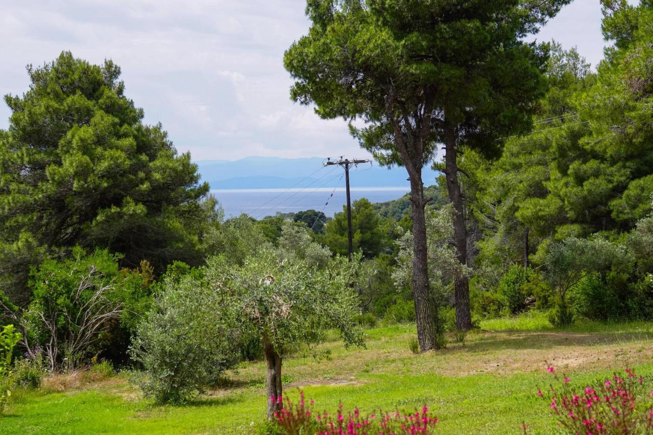 Forest Resort Suites Skiathos 트롤로스 외부 사진